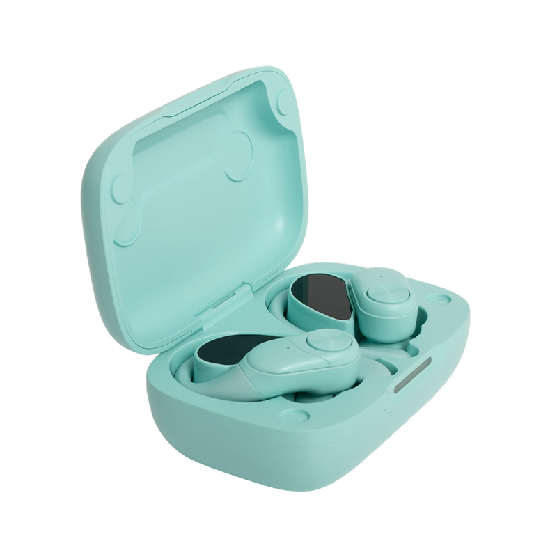 Ear-Hook Bluetooth 5.3 Wireless In-Ear Headphones