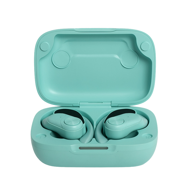 Ear-Hook Bluetooth 5.3 Wireless In-Ear Headphones