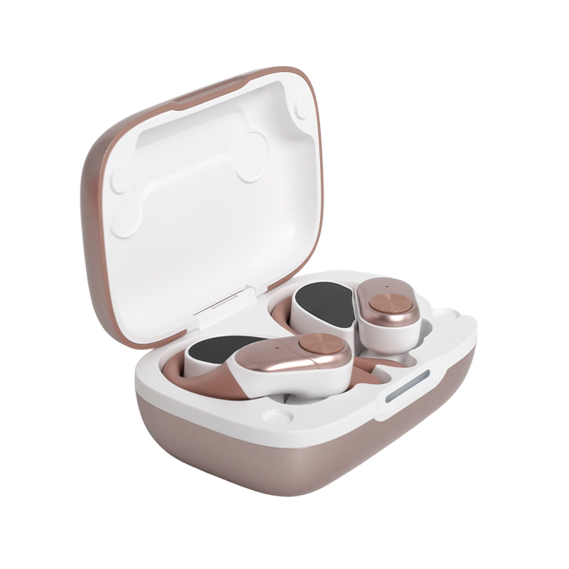 Ear-Hook Bluetooth 5.3 Wireless In-Ear Headphones