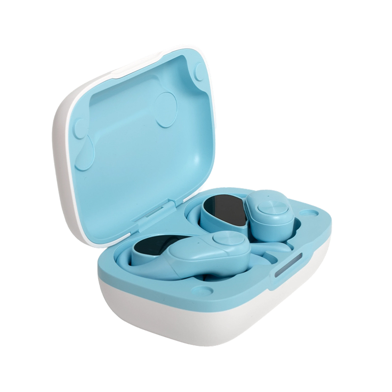 Ear-Hook Bluetooth 5.3 Wireless In-Ear Headphones